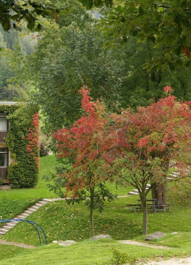 Waldblick Appartement Ober-Hambach ภายนอก รูปภาพ