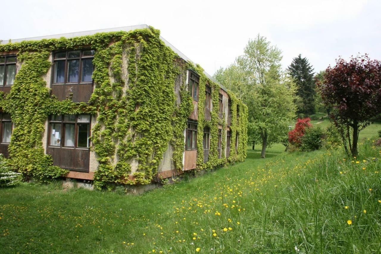 Waldblick Appartement Ober-Hambach ภายนอก รูปภาพ
